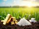 goldpreis-auf-rekordhoch-silber-unter-druck-kali-und-silber-gewinnen-fuer-landwirtschaft-an-bedeutung