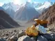 magma-silver-startet-gold-silber-projekt-in-peru-maerkte-und-experten-sehen-chancen